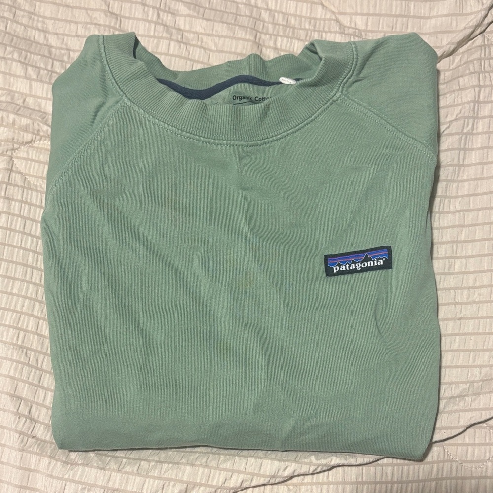 Patagonia Mint Green Crewneck Pullover